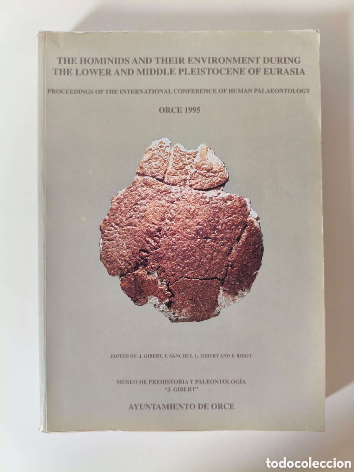 Libros de segunda mano: LOS HOMINIDOS Y SU ENTORNO EN EL PLEISTOCENO INFERIOR Y MEDIO DE EURASIA JOSEP GIBERT 1999
