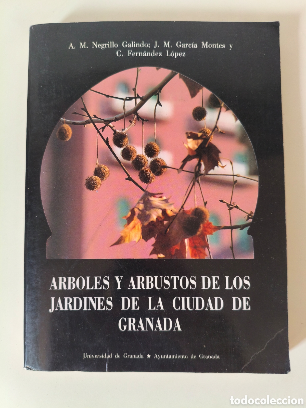 Libros de segunda mano: ARBOLES Y ARBUSTOS DE LOS JARDINES DE LA CIUDAD DE GRANADA APUNTES HIST&Oacute;RICOS 1990