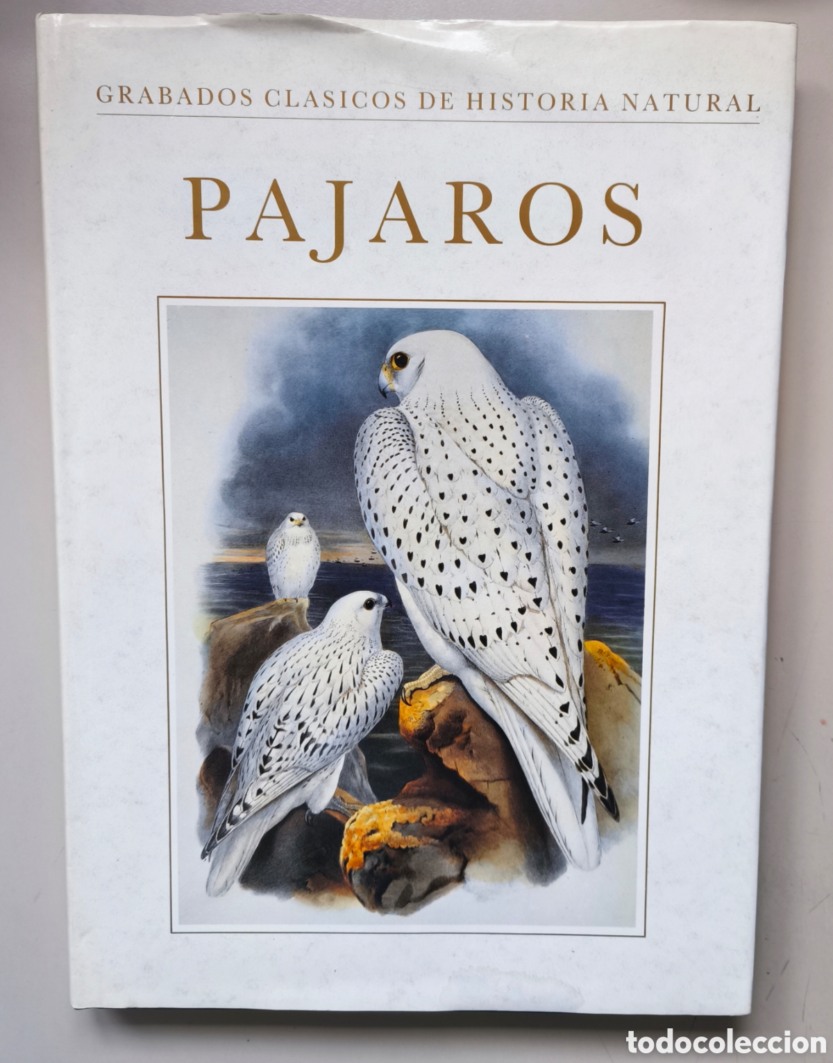 Libros de segunda mano: PAJARO. GRABADOS CLASICOS DE HISTORIA NATURAL. S. PETER DANCE. ED. LIBSA. MADRID, MADRID, 1990.
