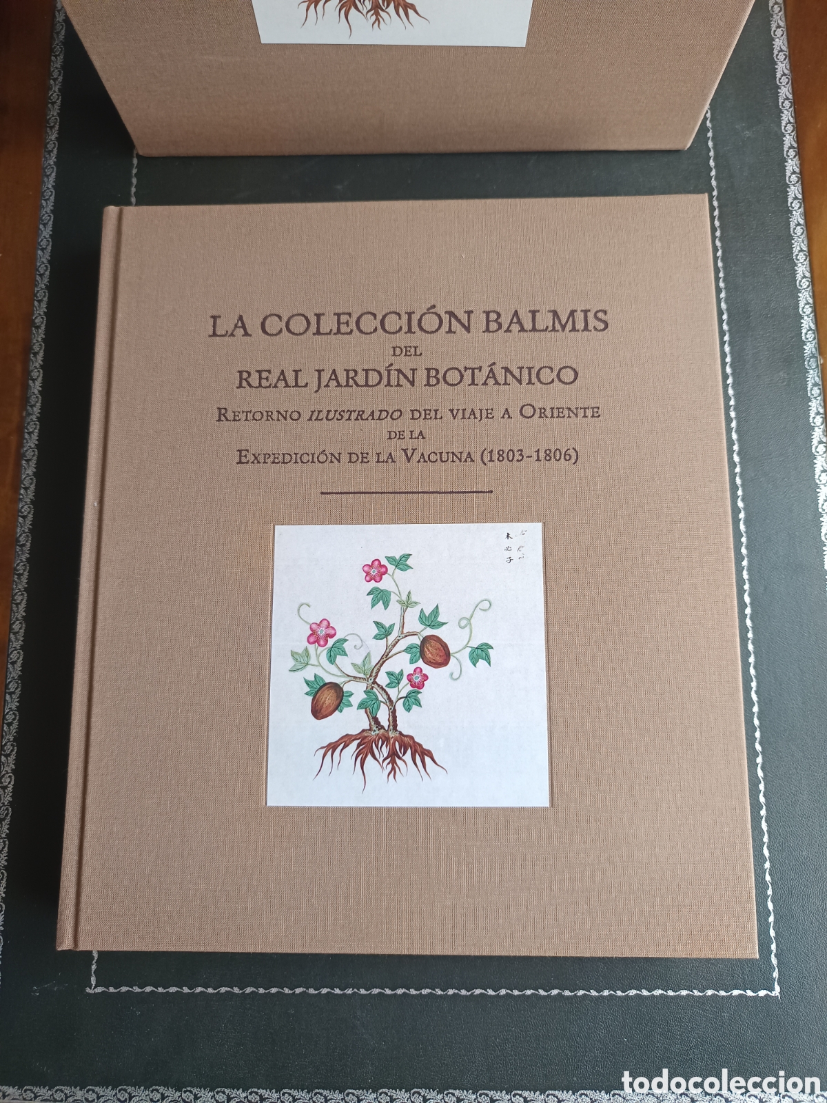 Libros de segunda mano: La Colecci&oacute;n Balmis del Real Jard&iacute;n Bot&aacute;nico. Retorno ilustrado del viaje a Oriente de la Expedici&oacute;n