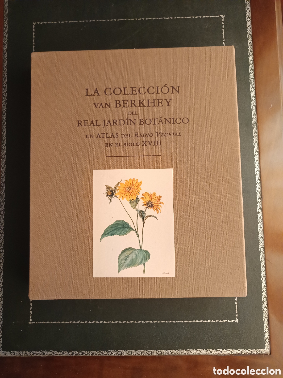 Libros de segunda mano: La colecci&oacute;n Van Berkhey del Real Jard&iacute;n Bot&aacute;nico. Un atlas del reino vegetal en el siglo XVIII