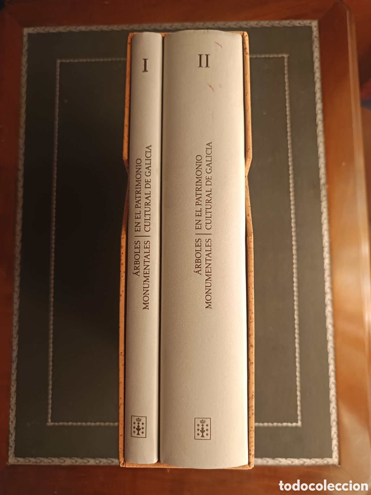 Libros de segunda mano: ARBOLES MONUMENTALES - EN EL PATRIMONIO CULTURAL DE GALICIA - CARLOS RODRIGUEZ Y JESUS IZCO