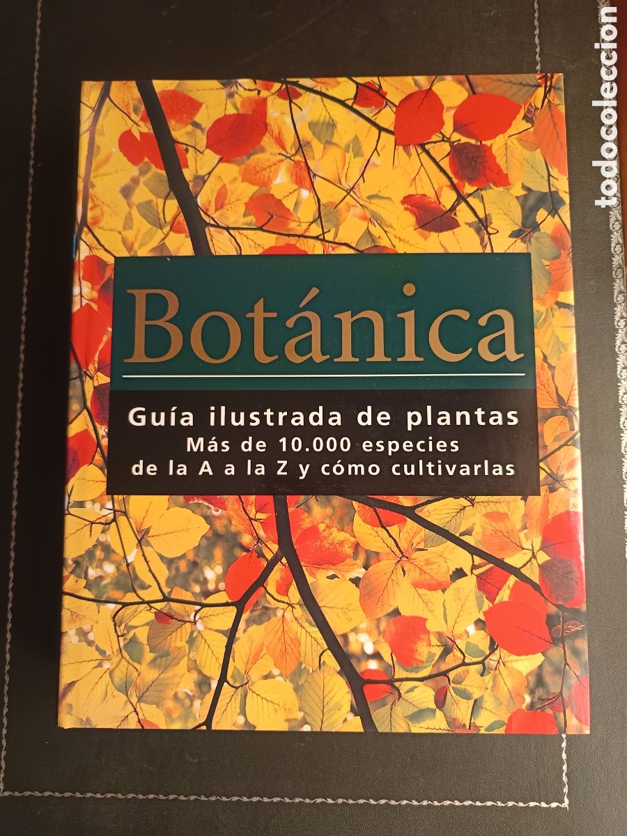 Libros de segunda mano: BOTANICA / GUIA ILUSTRADA DE PLANTAS. MAS 10.000 ESPECIES Y COMO CULTIVARLAS
