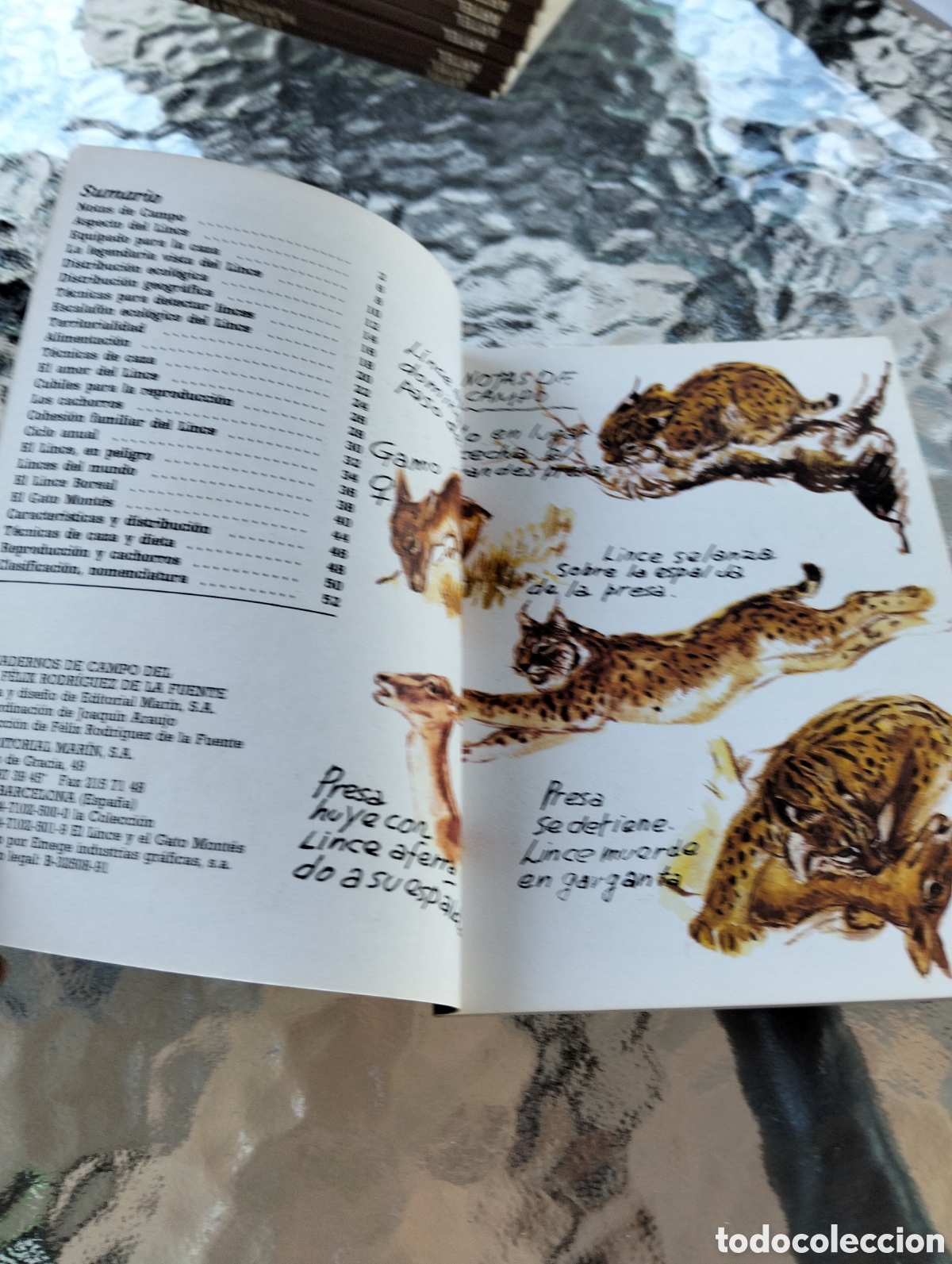Libros de segunda mano: Cuadernos de campo F&eacute;lix Rodr&iacute;guez de la fuente - Foto 3