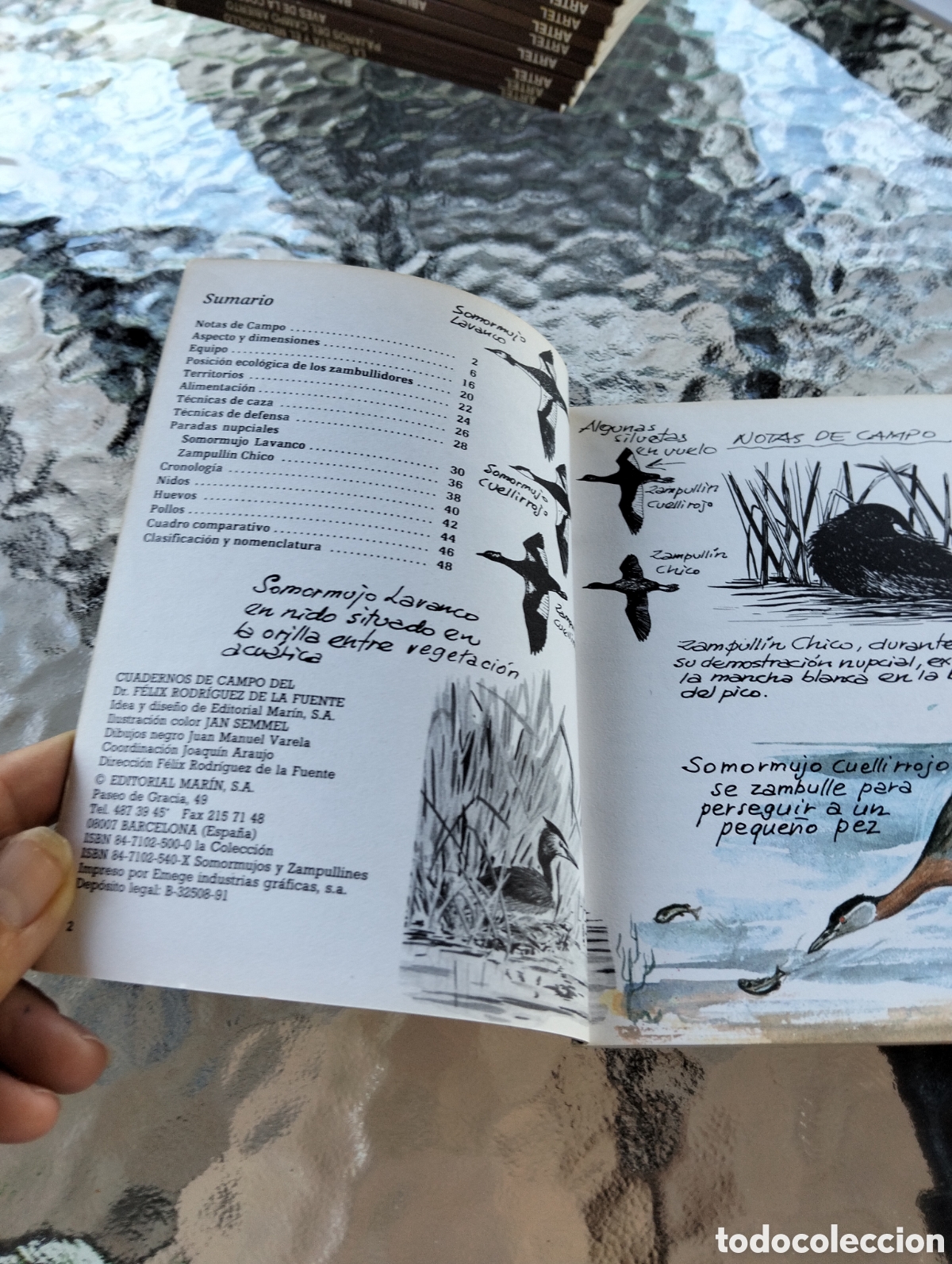 Libros de segunda mano: Cuadernos de campo F&eacute;lix Rodr&iacute;guez de la fuente - Foto 6