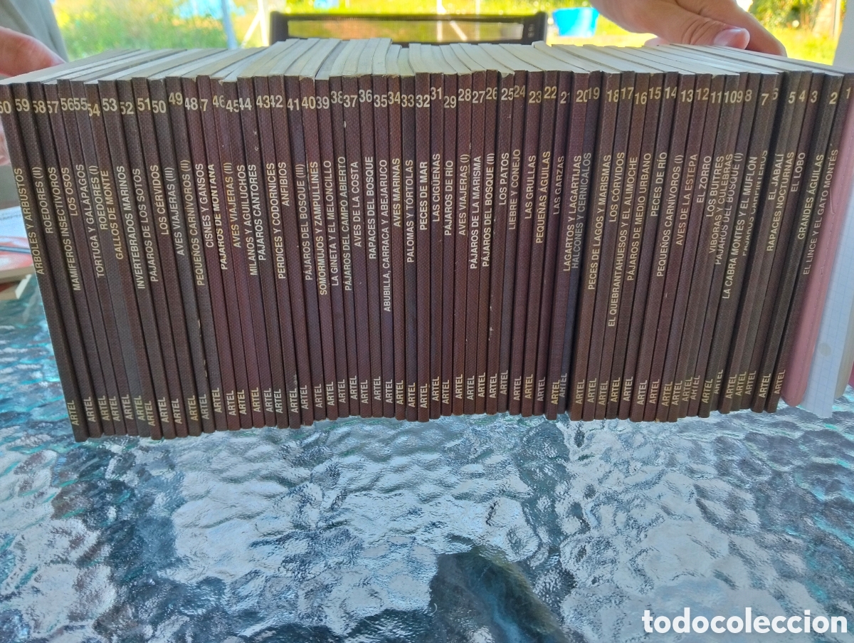 Libros de segunda mano: Cuadernos de campo F&eacute;lix Rodr&iacute;guez de la fuente