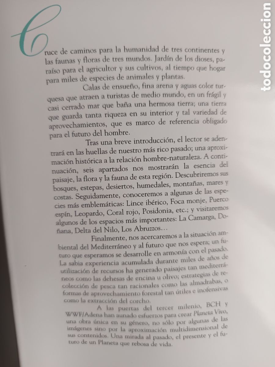 Libros de segunda mano: Mediterr&aacute;neo. Planeta Vivo - Foto 2
