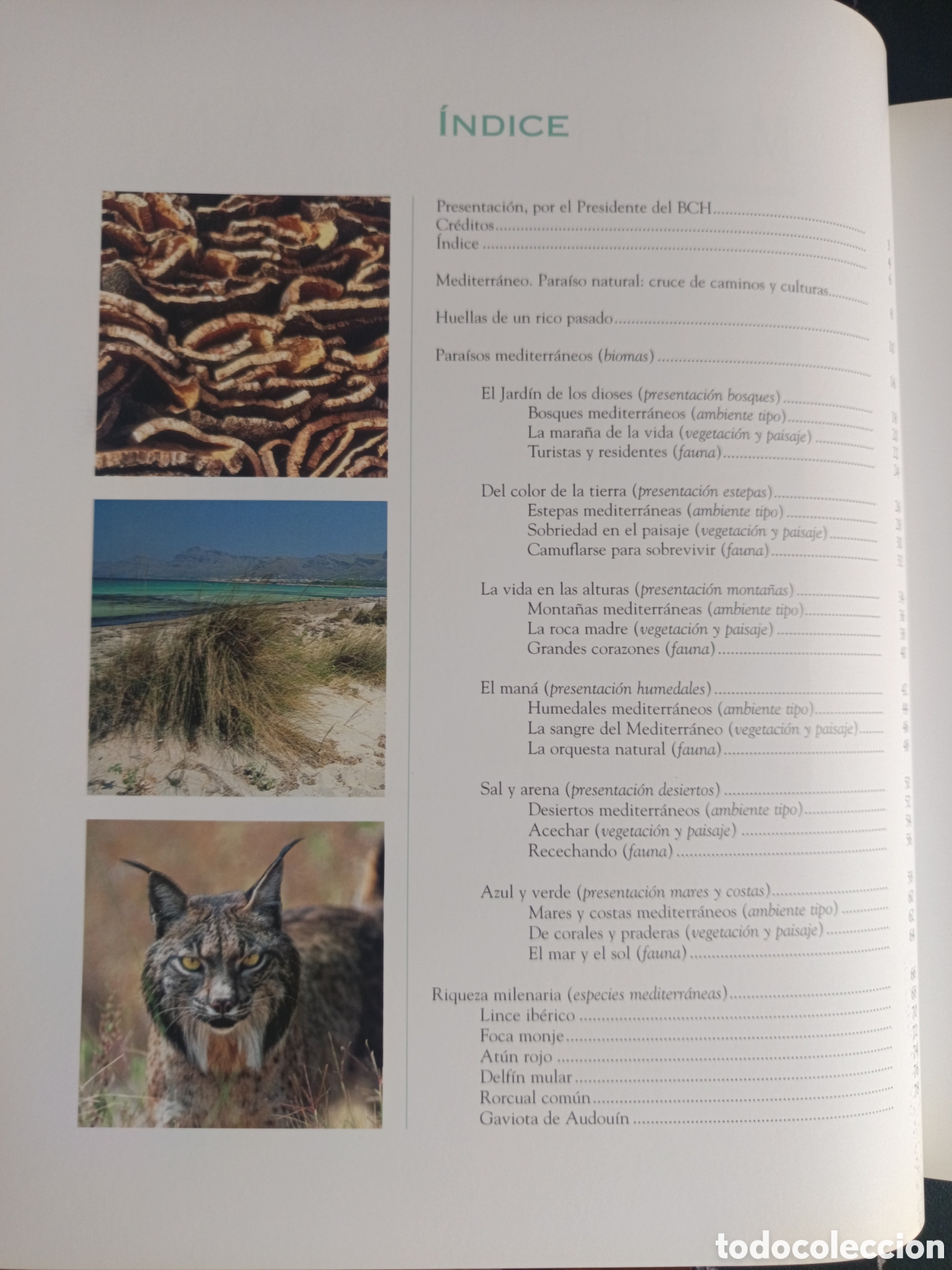 Libros de segunda mano: Mediterr&aacute;neo. Planeta Vivo - Foto 6