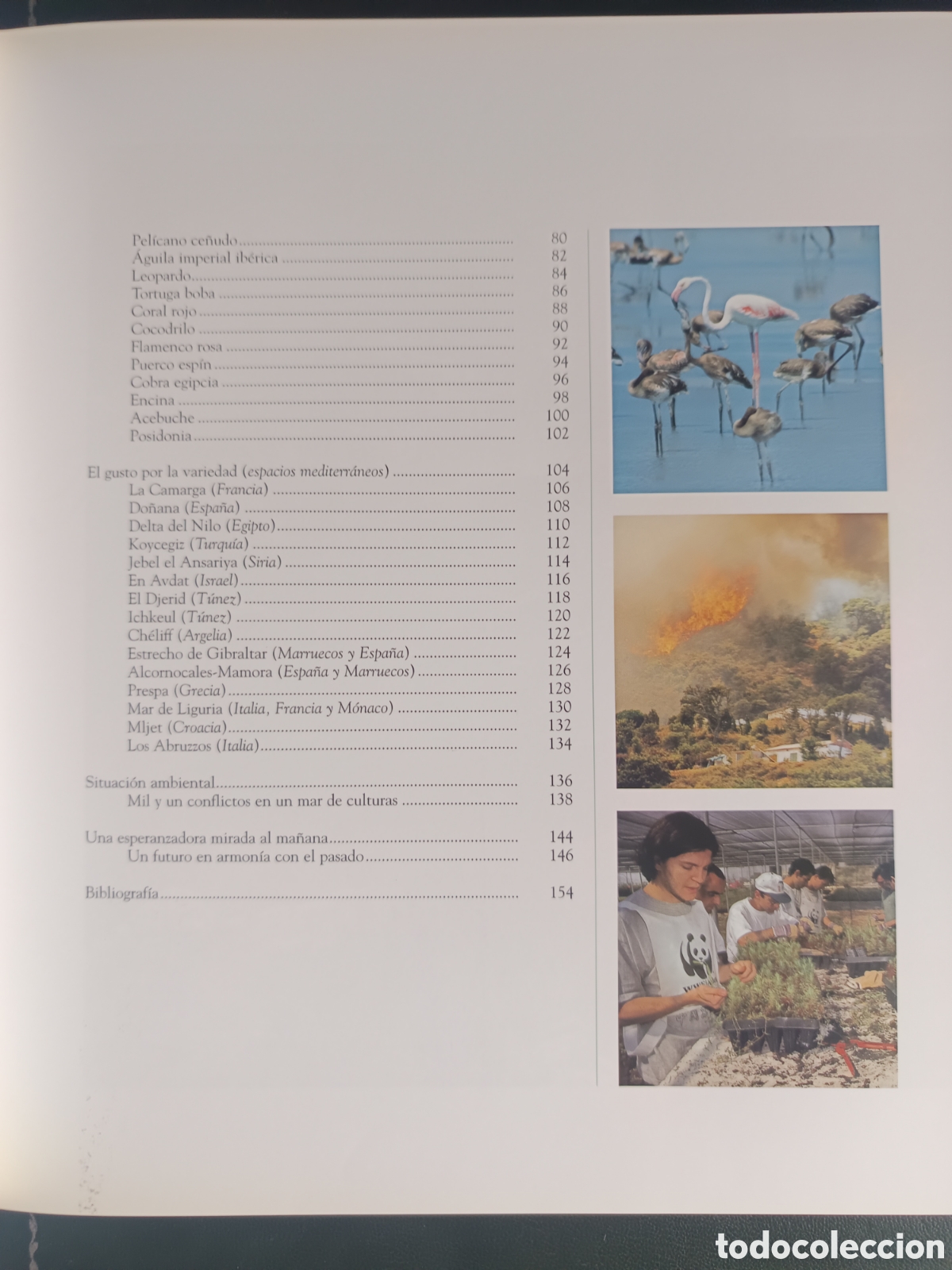 Libros de segunda mano: Mediterr&aacute;neo. Planeta Vivo - Foto 7