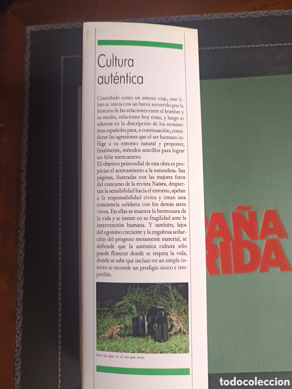 Libros de segunda mano: FAUNA HERIDA. JOAQUIN ARAUJO. LAMINAS EXTRA - Foto 2