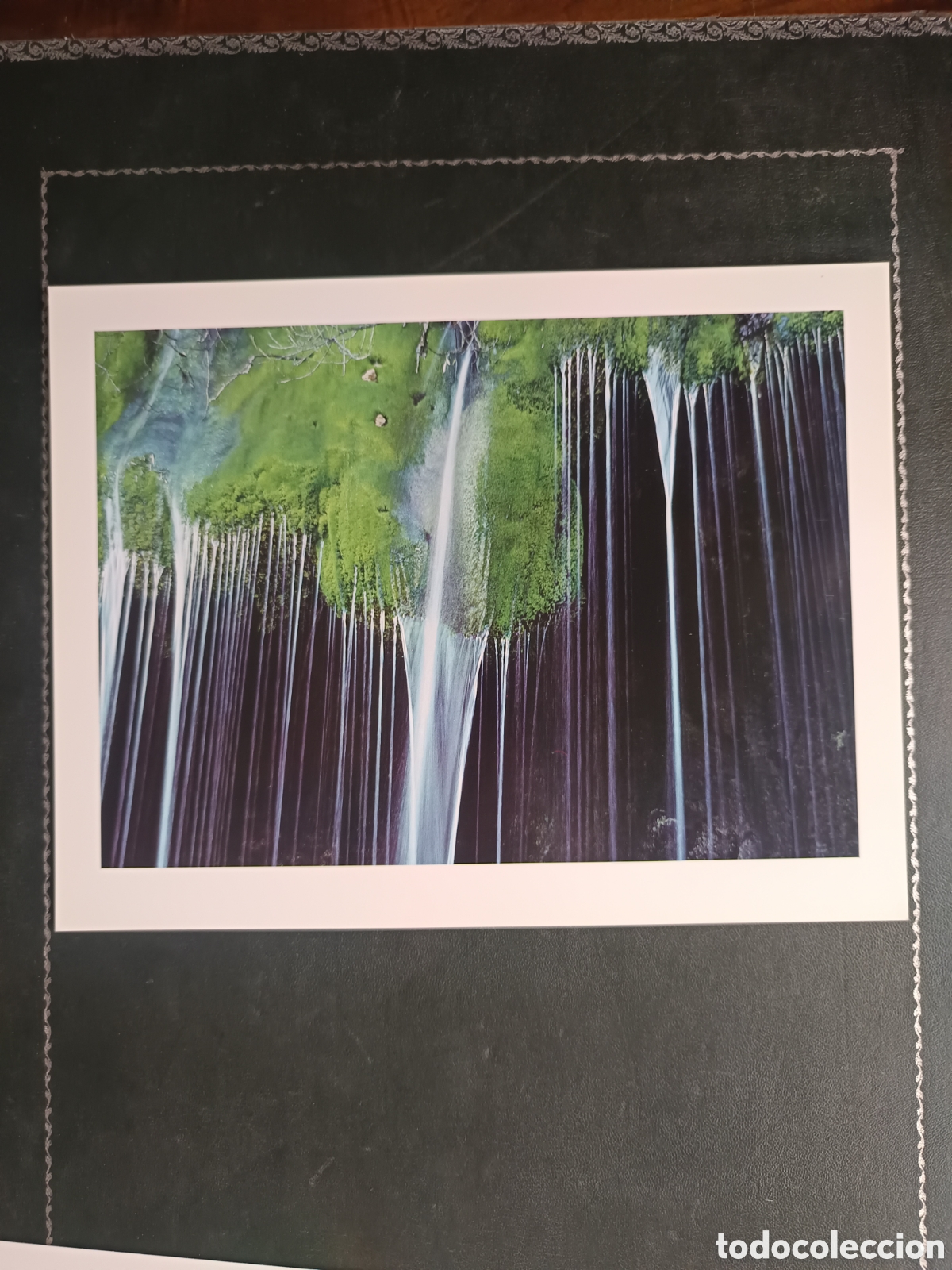Libros de segunda mano: FAUNA HERIDA. JOAQUIN ARAUJO. LAMINAS EXTRA - Foto 16