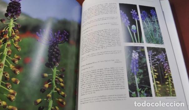 Libros de segunda mano: Flora vascular de Andaluc&iacute;a Oriental - Foto 5