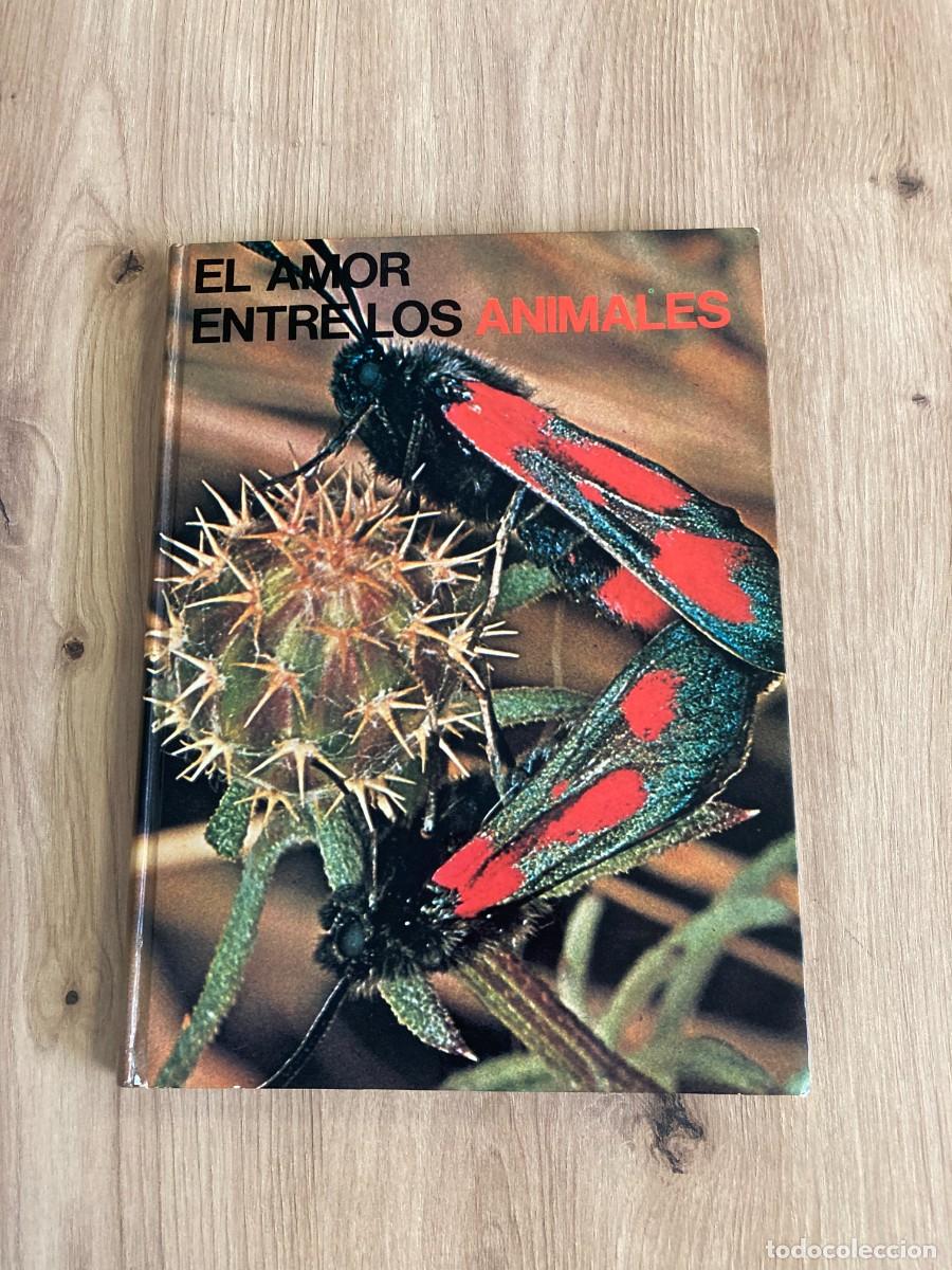 Libros de segunda mano: El amor entre los animales Editions Ferni