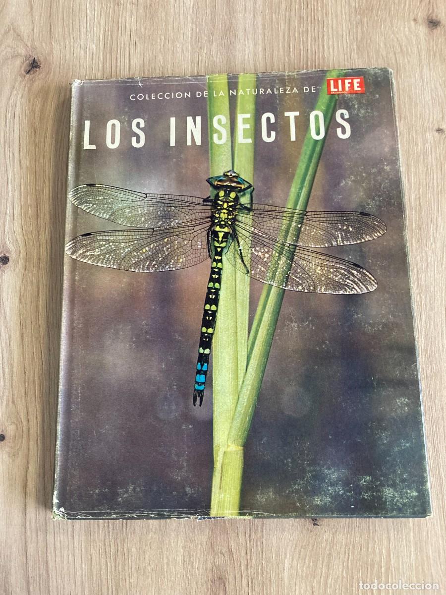 Libros de segunda mano: Los insectos Peter Farb