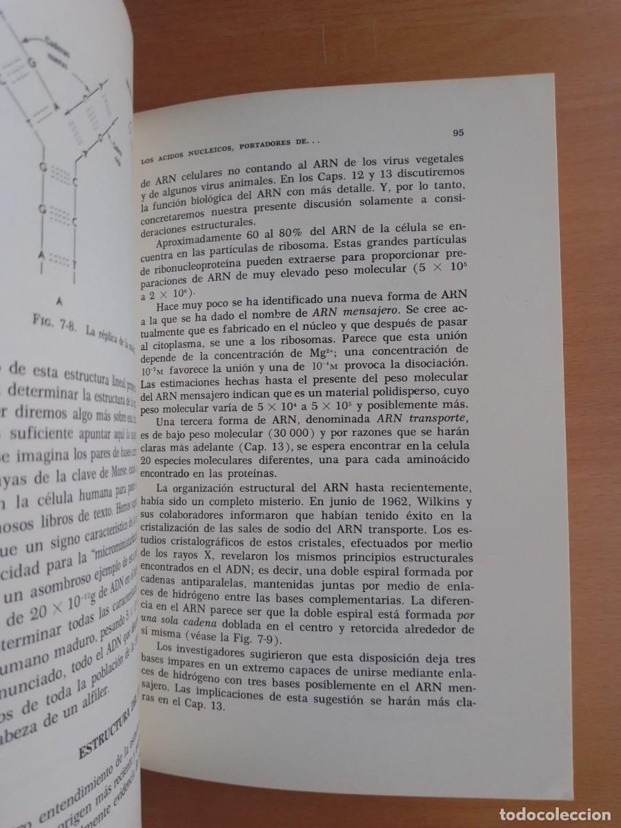 Libros de segunda mano: Estructura y funci&oacute;n celular, de Loewy y Siekevitz - Foto 3