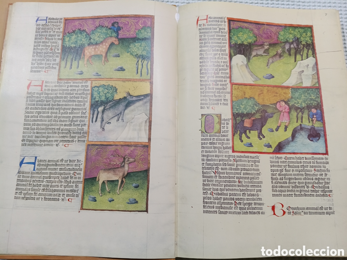 Libros de segunda mano: DE NATURA RERUM (LIB. IV-XII). TACUINUM SANITATIS. CODICE C-67. 1974. - Foto 2