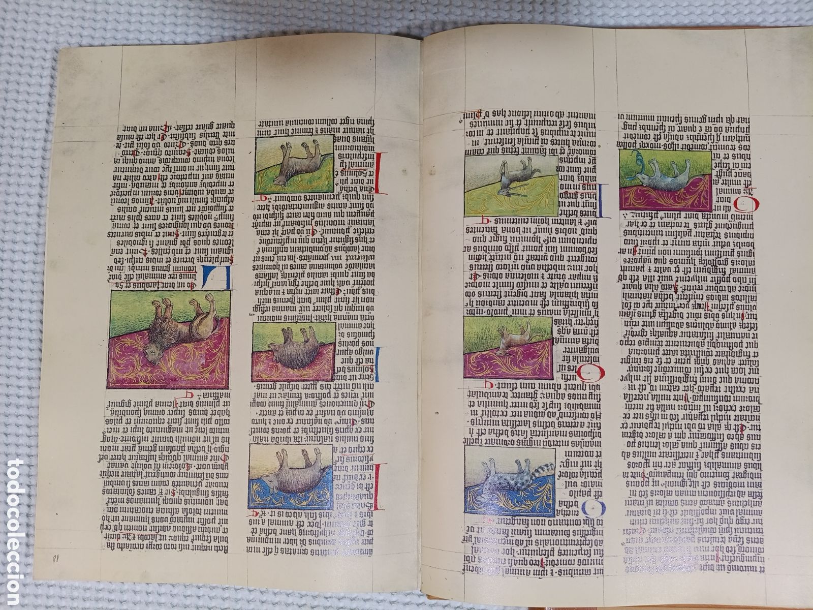 Libros de segunda mano: DE NATURA RERUM (LIB. IV-XII). TACUINUM SANITATIS. CODICE C-67. 1974. - Foto 3