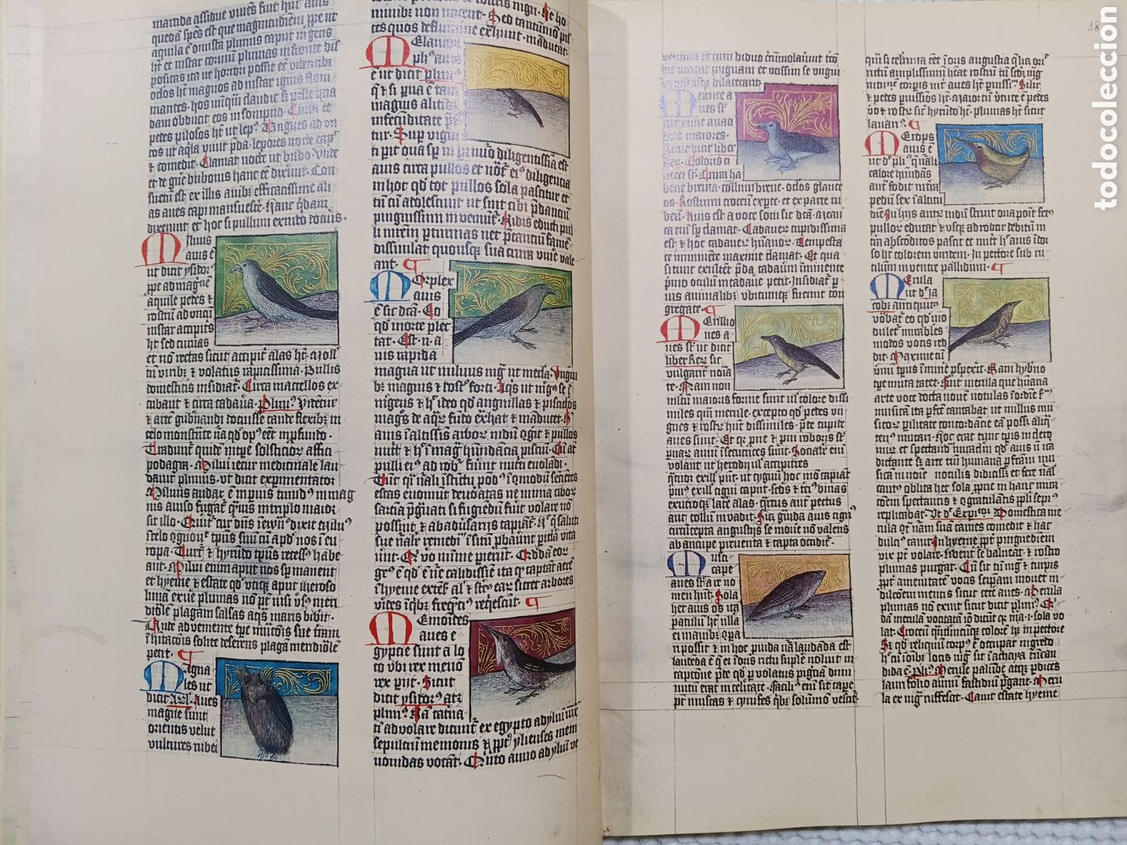 Libros de segunda mano: DE NATURA RERUM (LIB. IV-XII). TACUINUM SANITATIS. CODICE C-67. 1974. - Foto 4