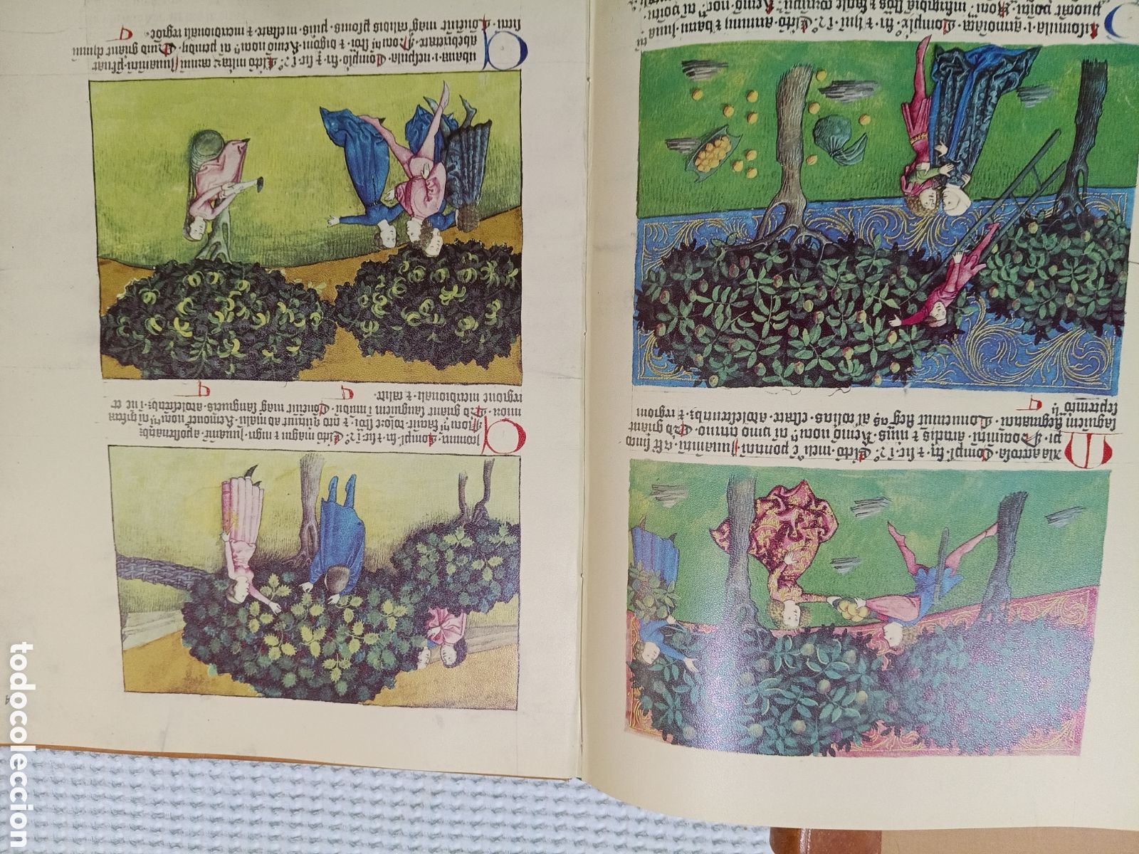 Libros de segunda mano: DE NATURA RERUM (LIB. IV-XII). TACUINUM SANITATIS. CODICE C-67. 1974. - Foto 6