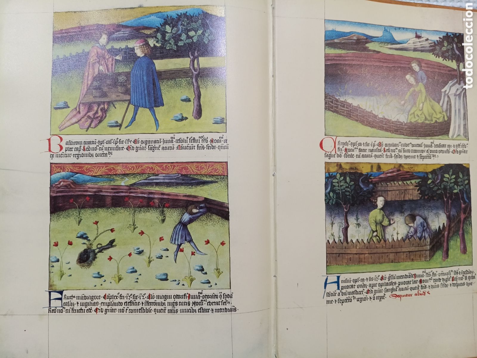 Libros de segunda mano: DE NATURA RERUM (LIB. IV-XII). TACUINUM SANITATIS. CODICE C-67. 1974. - Foto 8