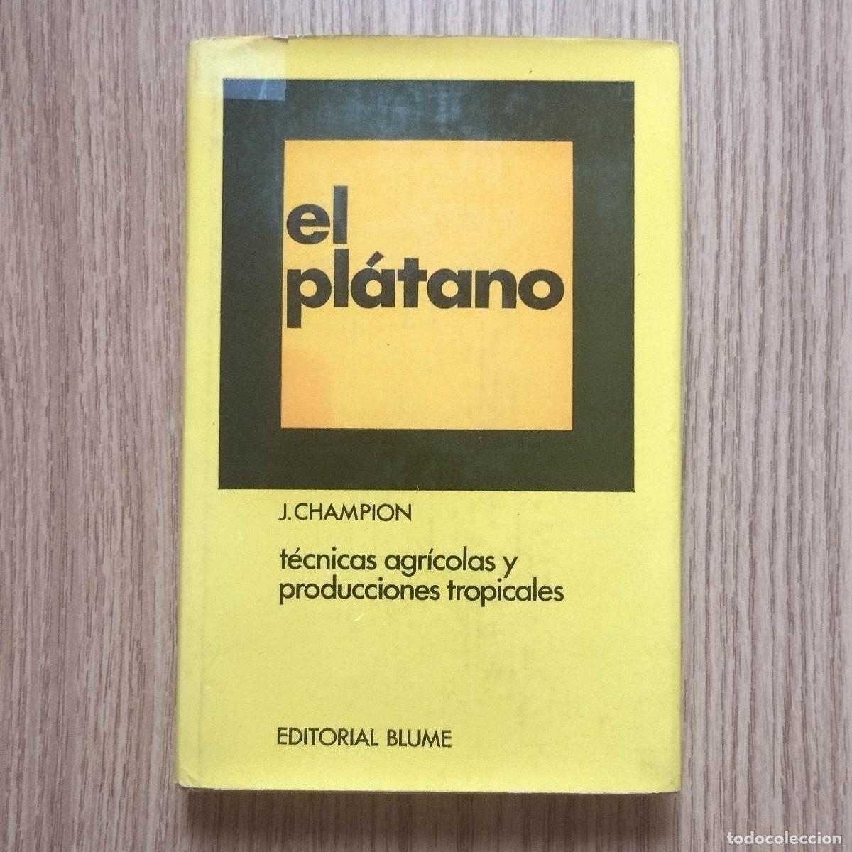 Libros de segunda mano: Libro EL PL&Aacute;TANO | J. CHAMPION | EDITORIAL BLUME | Tenerife - Canarias