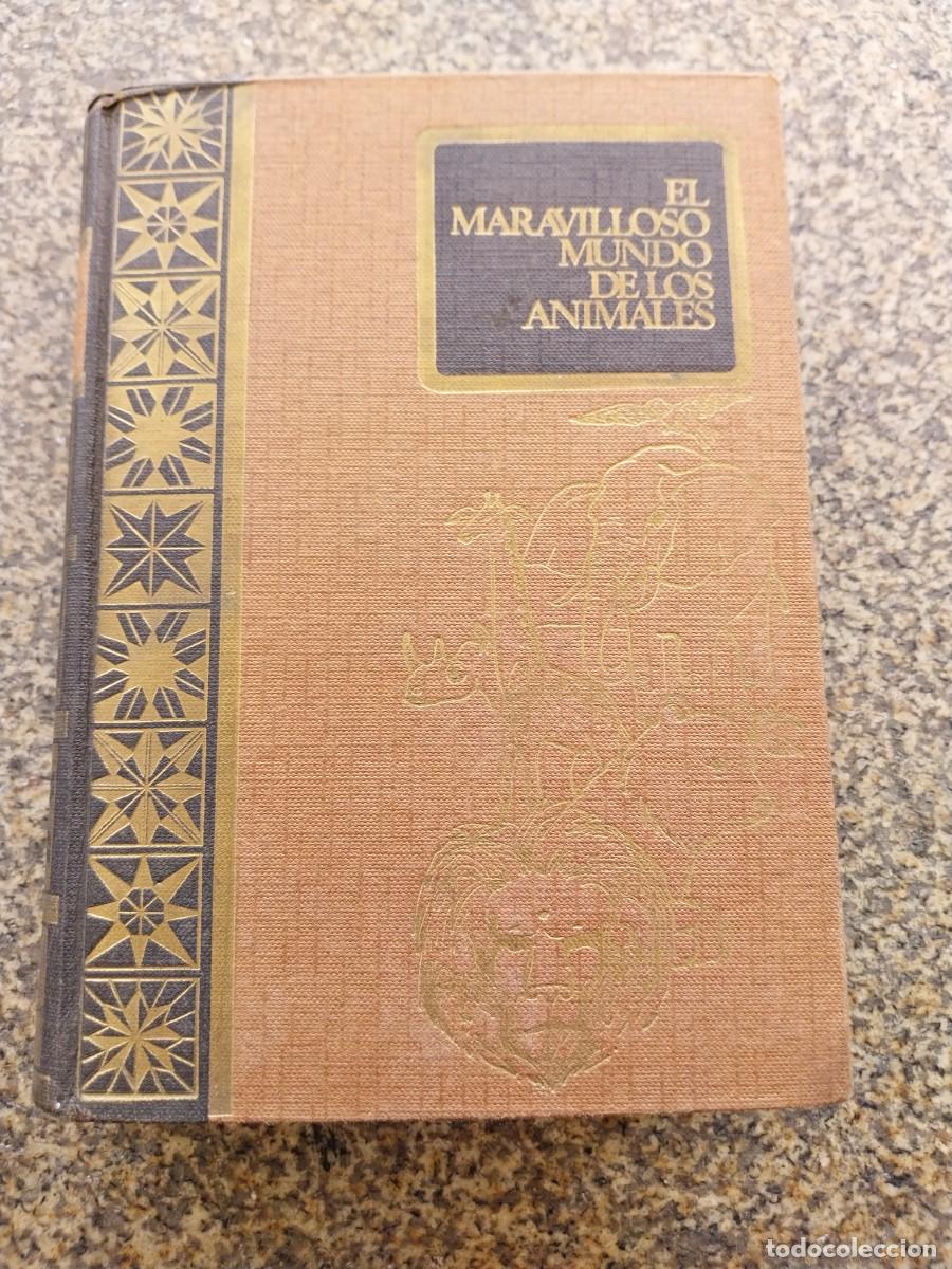 Libros de segunda mano: EL MARAVILLOSO MUNDO DE LOS ANIMALES -- MIGUEL FUSTE -- 1966 --