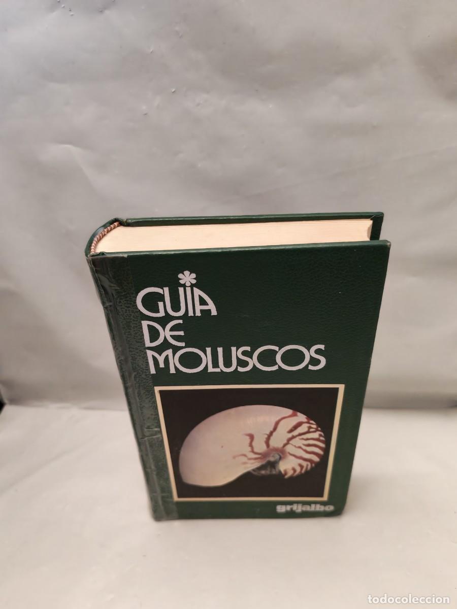 Libri di seconda mano: Bruno Sabelli: Gu&iacute;a de moluscos (Primera edici&oacute;n, tapa dura)