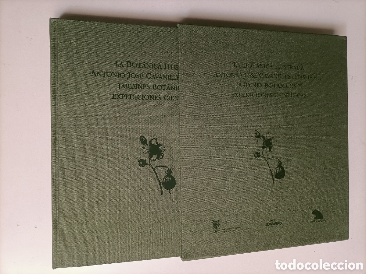 Libros de segunda mano: La bot&aacute;nica ilustrada. Antonio Jos&eacute; cavanilles 1715 1804 jardines bot&aacute;nicos y expediciones cient&iacute;fic