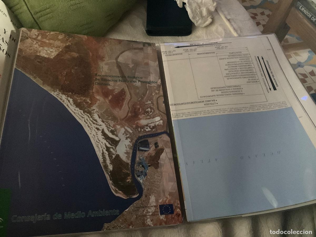 Libros de segunda mano: RECONOCIMIENTO BIOF&Iacute;SICO DE ESPACIOS NATURALES PROTEGIDOS. DO&Ntilde;ANA Y MAPA ECOL&Oacute;GICO. 1998.