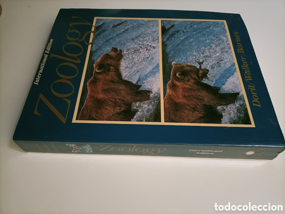 Libros de segunda mano: Zoology. Roberto L. Dorit Warren F. Walker jr. Roberto D. barnes. Texto en ingl&eacute;s