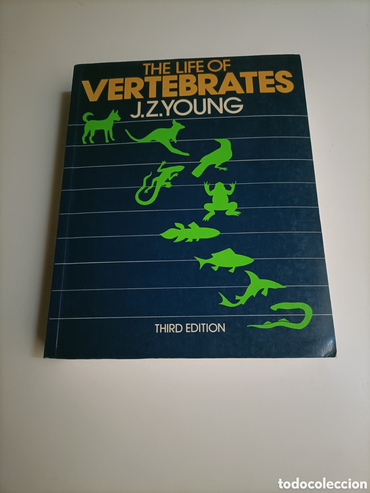 Libros de segunda mano: The Life of vertebrates J.Z.Young . Texto en ingl&eacute;s