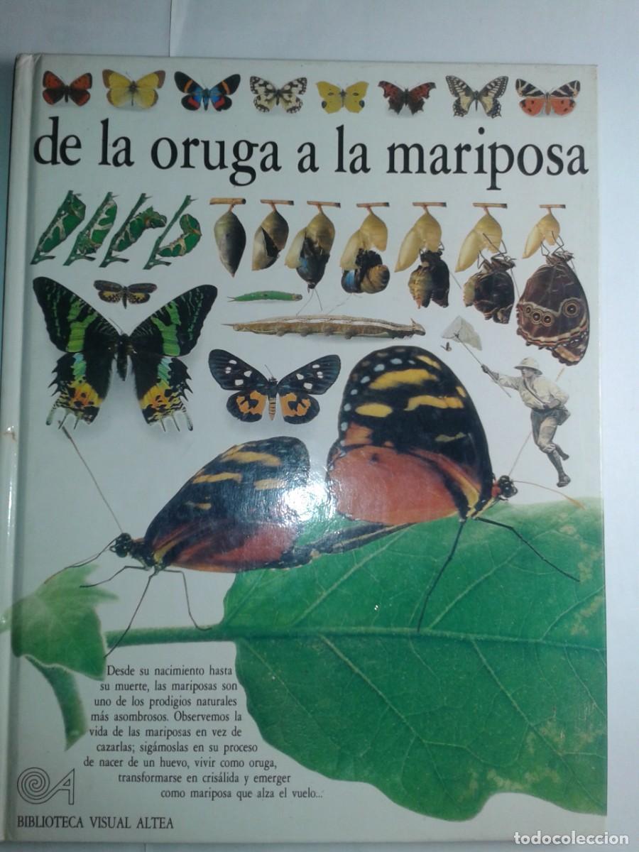 Libros de segunda mano: DE LA ORUGA A LA MARIPOSA 1991 PAUL WHALLEY 3&ordf; REIMPRESI&Oacute;N BIBLIOTECA VISUAL ALTEA