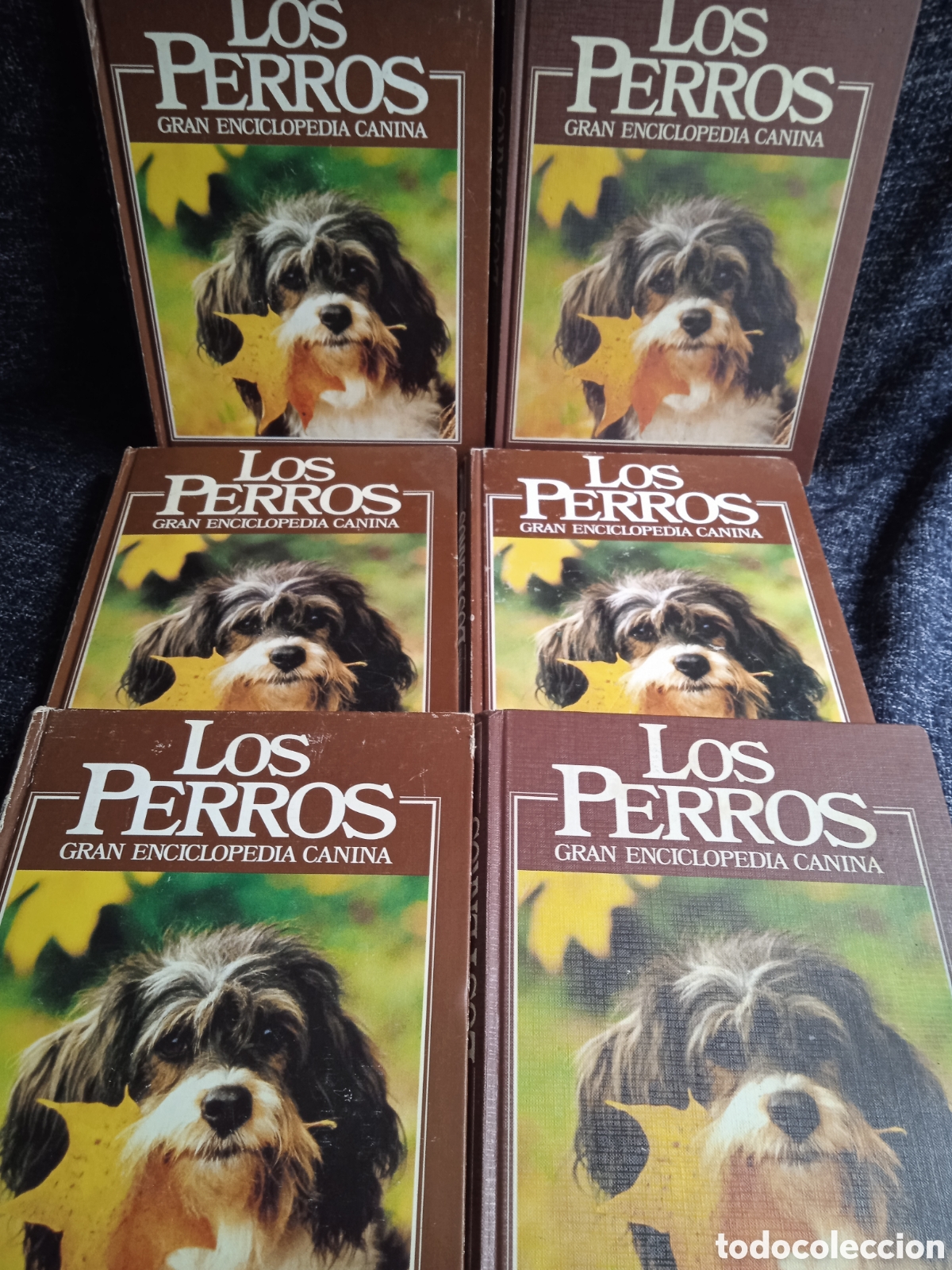 Libros de segunda mano: LOS PERROS, GRAN ENCICLOPEDIA CANINA -LOTE DE 6 TOMOS -ED. PLANETA