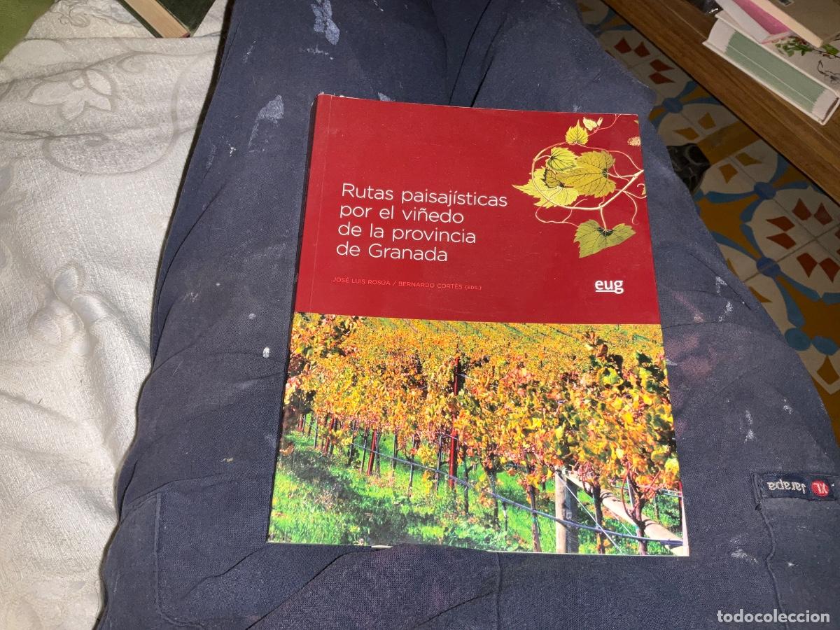Libros de segunda mano: Rutas paisaj&iacute;sticas por el vi&ntilde;edo de la provincia de Granada Jos&eacute; Luis Ros&uacute;a Campos; Bernardo Cort&eacute;s