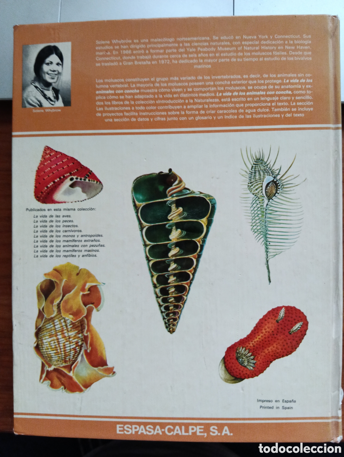 Libros de segunda mano: La vidad de los animales con Concha, Solene Whybrow - Foto 6