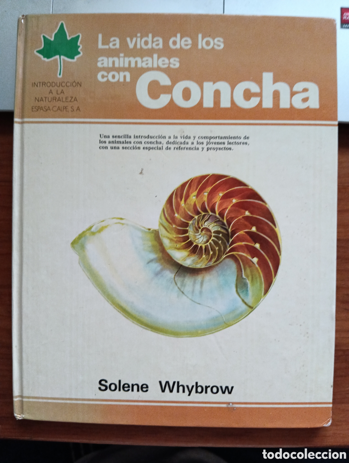 Libros de segunda mano: La vidad de los animales con Concha, Solene Whybrow - Foto 1