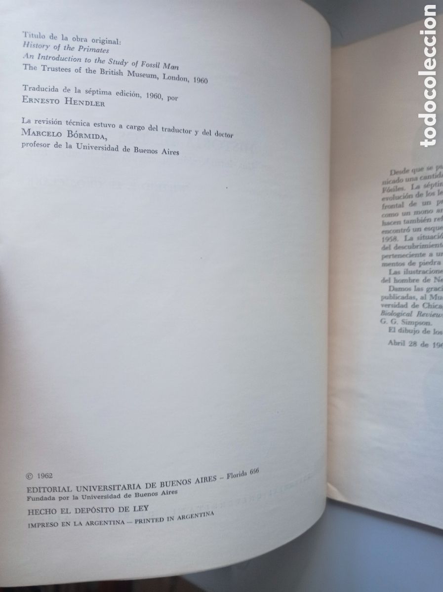 Libros de segunda mano: HISTORIA DE LOS PRIMATES. E. E. LE GROS CLARK - Foto 3