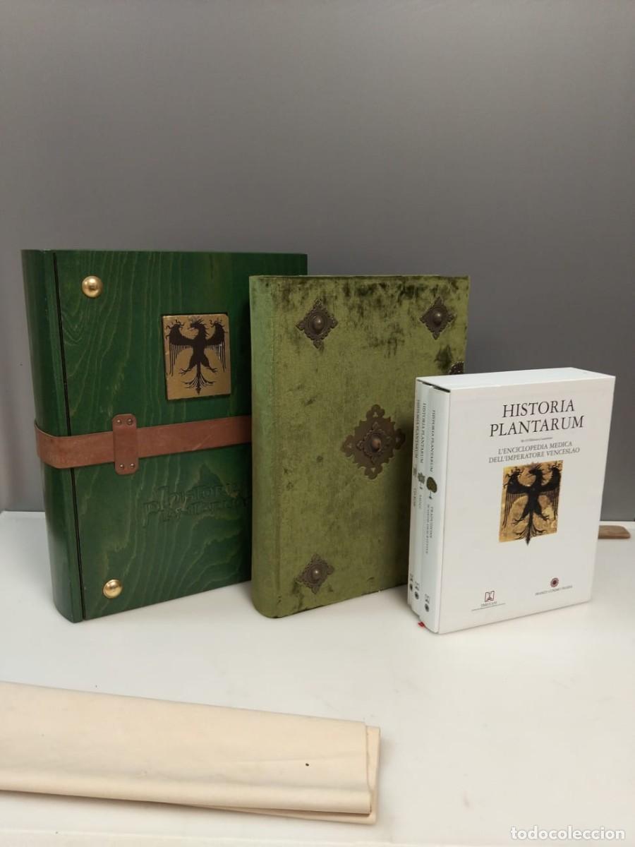Libri di seconda mano: FACSIMIL HISTORIA PLANTARUM FRANCO COSIMO PANINI EDITORE 2002 BOT&Aacute;NICA PLANTAS DIBUJO