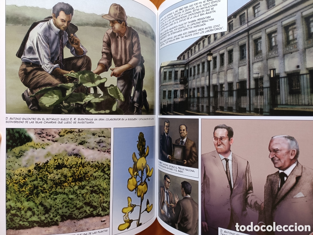 Libros de segunda mano: Antonio Gonz&aacute;lez Gonz&aacute;lez. Cient&iacute;fico canario universal. (C&oacute;mic) - Foto 3