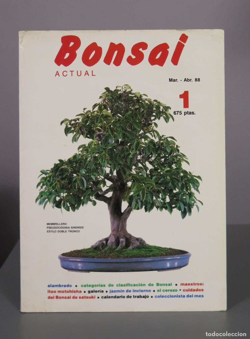 Libros de segunda mano: Bonsai Actual - N&ordm; 1 - Ediciones Tyris