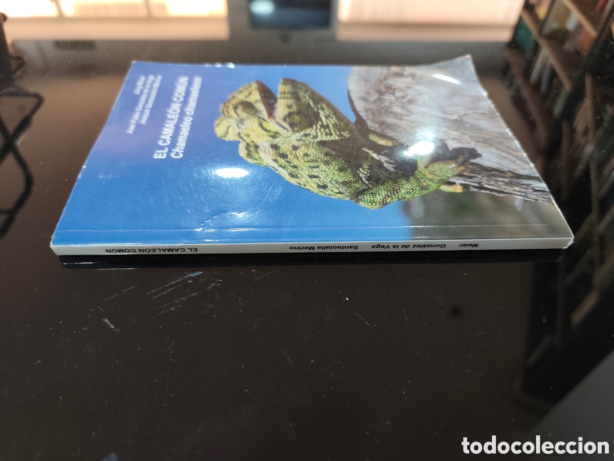 Libros de segunda mano: El camale&oacute;n com&uacute;n (Chamaeleo chamaleon). J&uuml;rg Meier y otros - Foto 3