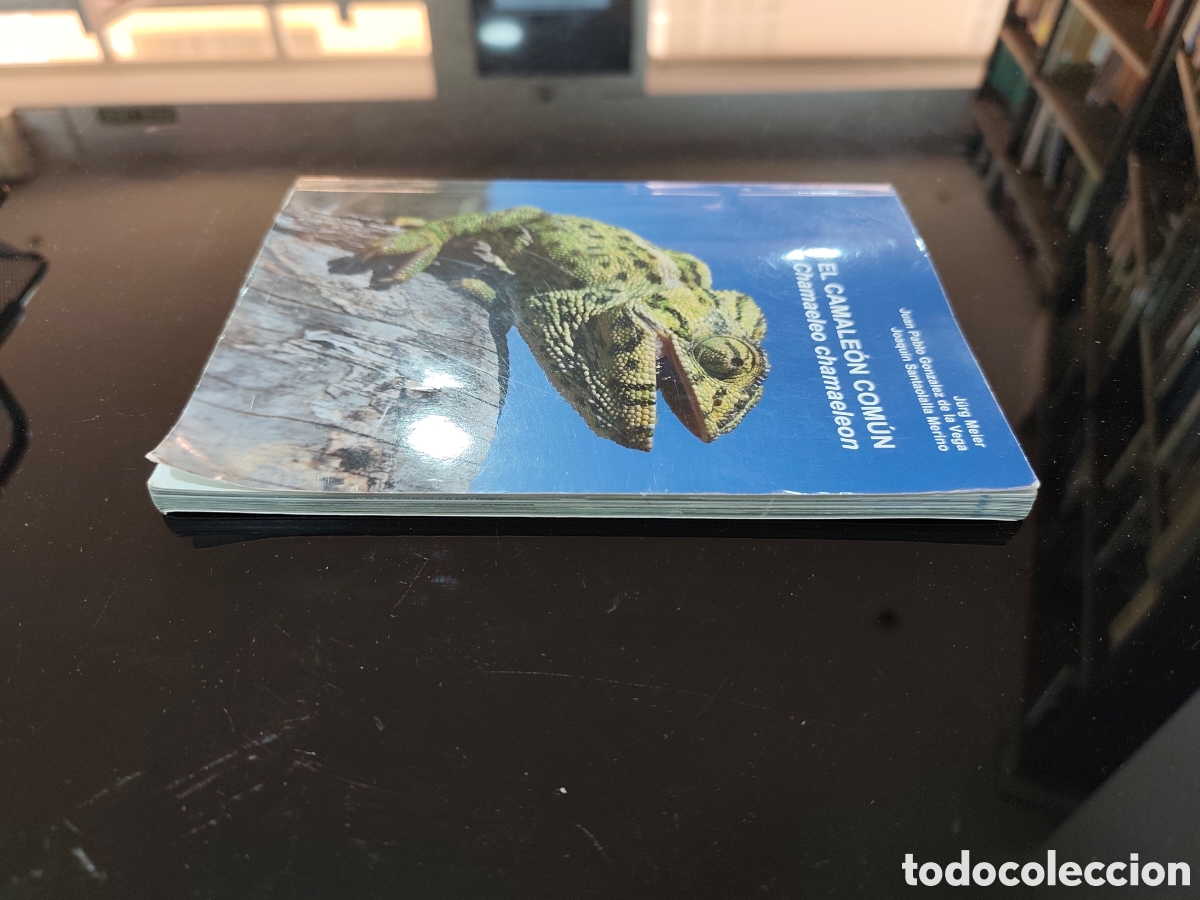 Libros de segunda mano: El camale&oacute;n com&uacute;n (Chamaeleo chamaleon). J&uuml;rg Meier y otros - Foto 4