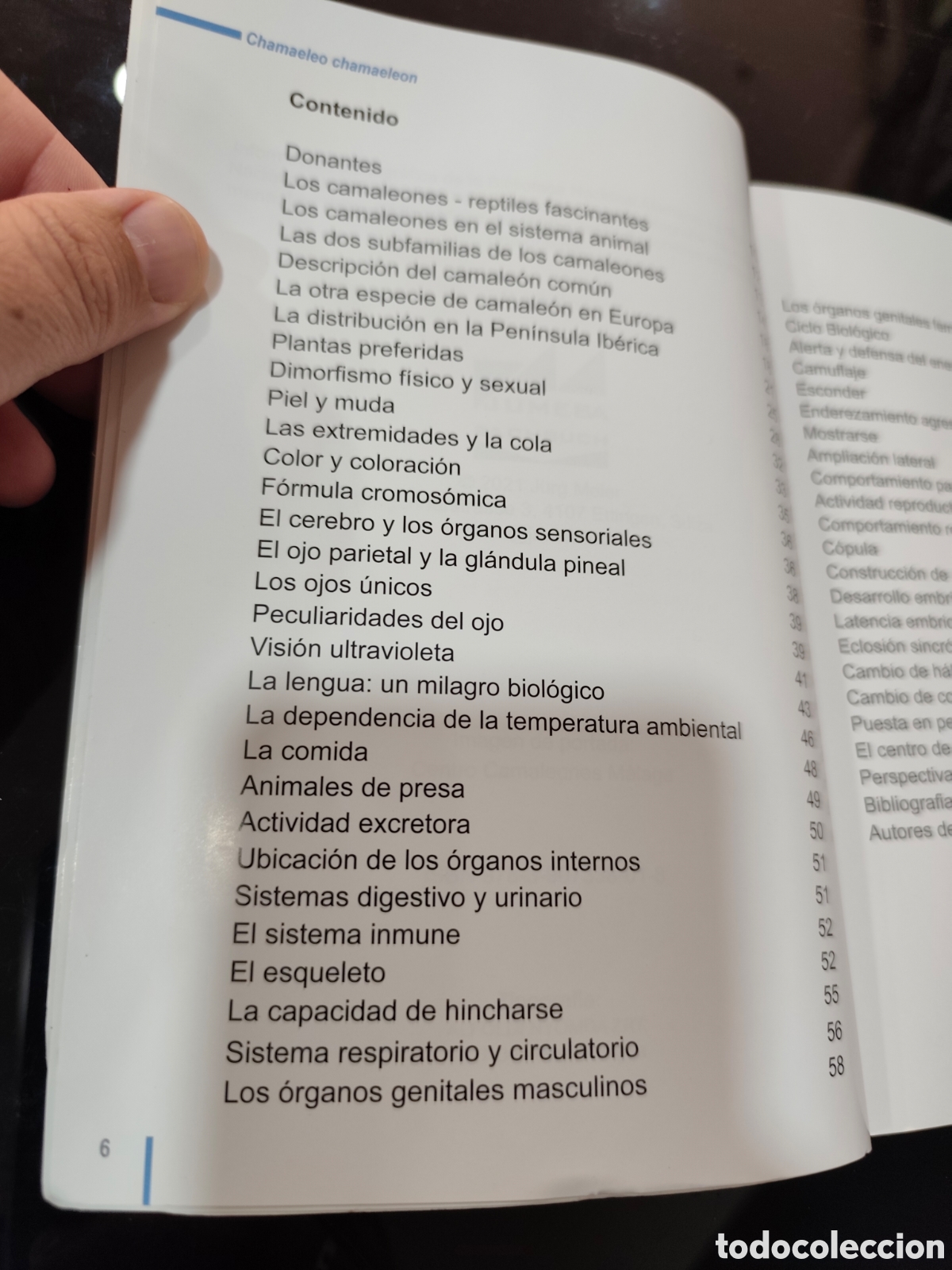 Libros de segunda mano: El camale&oacute;n com&uacute;n (Chamaeleo chamaleon). J&uuml;rg Meier y otros - Foto 5