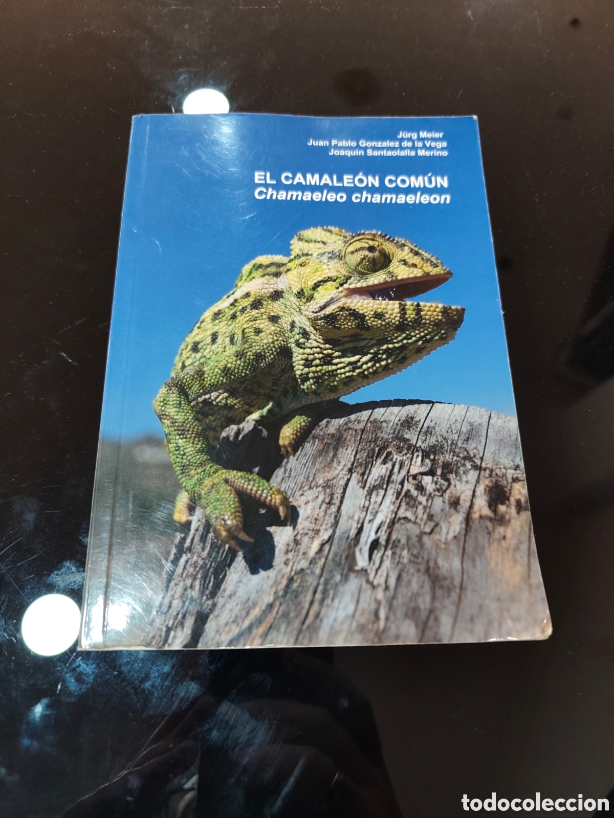 Libros de segunda mano: El camale&oacute;n com&uacute;n (Chamaeleo chamaleon). J&uuml;rg Meier y otros