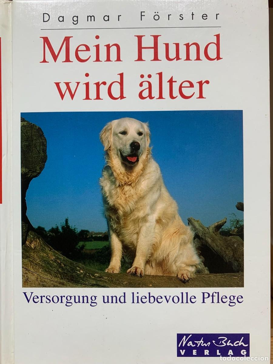 Libros de segunda mano: Mein Hund wird &auml;lter. Versorgung und liebevolle Pflege Edici&oacute;n en Alem&aacute;n Formato: Tapa dura