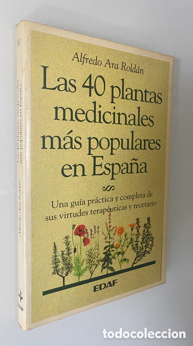 Libros de segunda mano: Las 40 plantas medicinales m&aacute;s populares en Espa&ntilde;a: Una gu&iacute;a pr&aacute;ctica y completa de sus virtudes ter