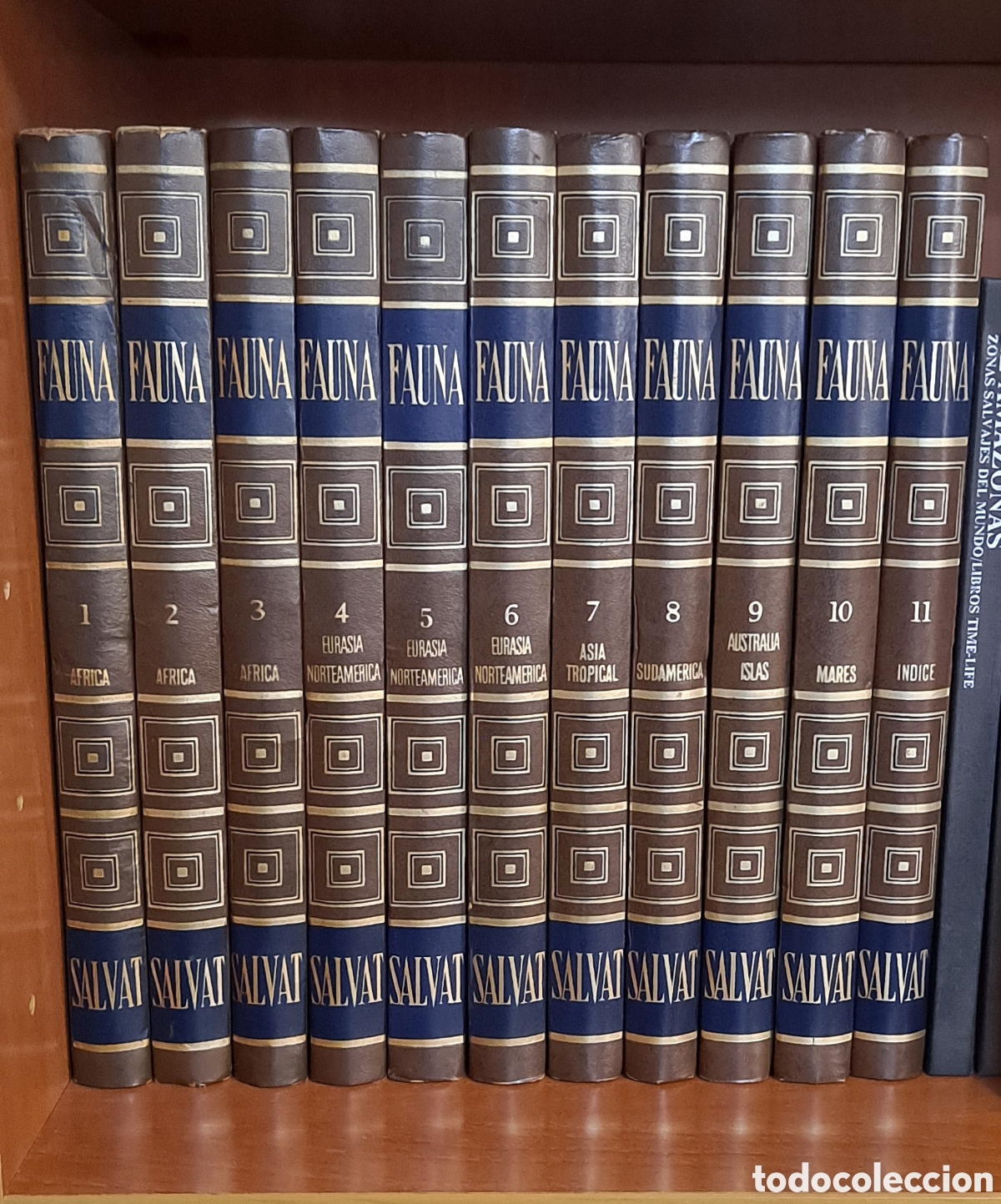 Libros de segunda mano: Enciclopedia FAUNA - 11 Tomos - Foto 1