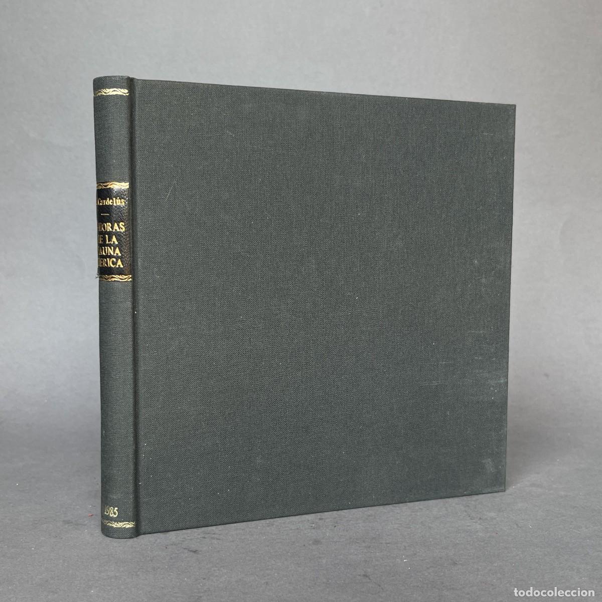Libros de segunda mano: A&ntilde;o 1985 - 24 HORAS DE LA FAUNA IB&Eacute;RICA - Caza - Zoolog&iacute;a - Ecolog&iacute;a