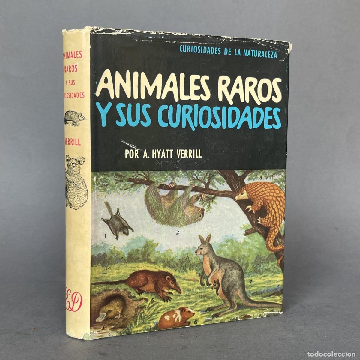 Libros de segunda mano: A&ntilde;o 1958 - Animales raros y sus curiosidades - Zoolog&iacute;a - Verrill, A. Hyatt - Caza