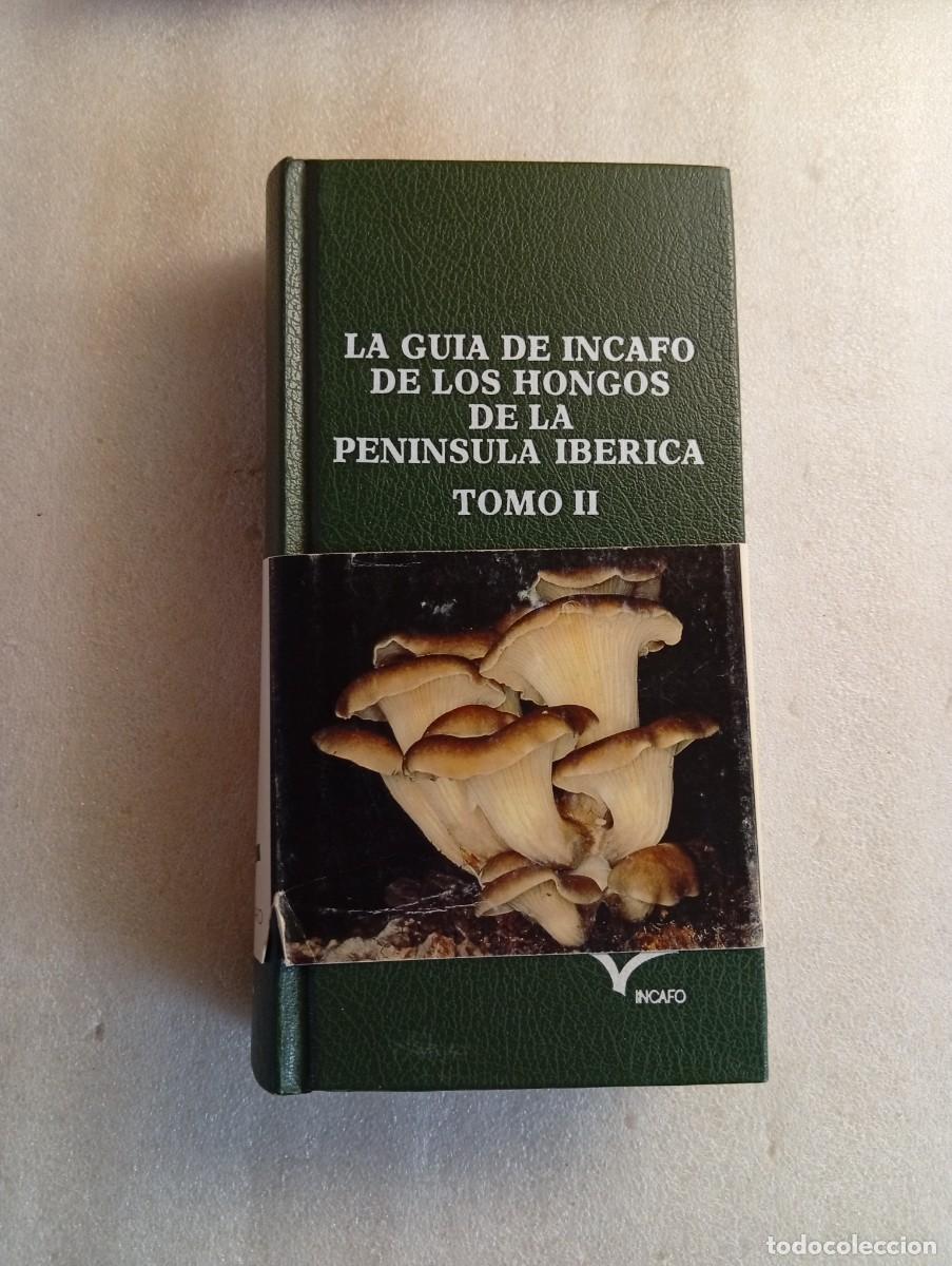 Libros de segunda mano: La gu&iacute;a de Incafo de los hongos de la Pen&iacute;nsula Ib&eacute;rica. Tomo II